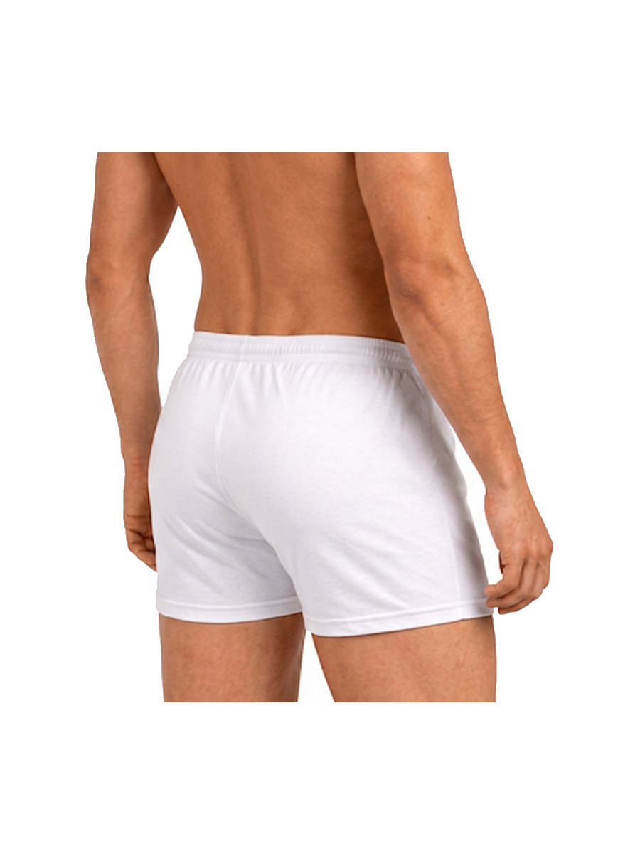 COTTONIL Men's Cotton Digital Boxer Shorts - Light Colors
