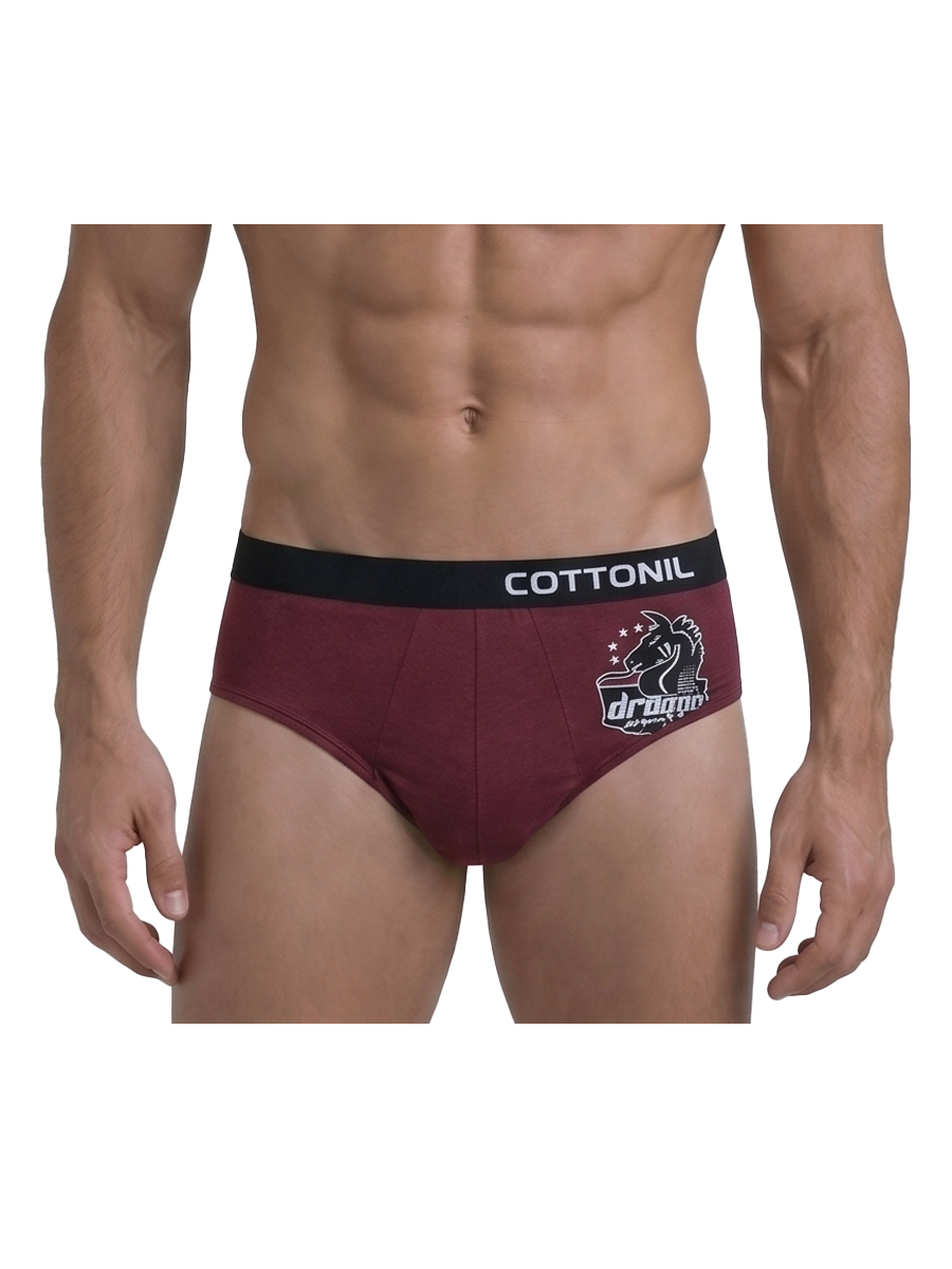 COTTONIL Men's Cotton Relax Briefs - Dark Colors