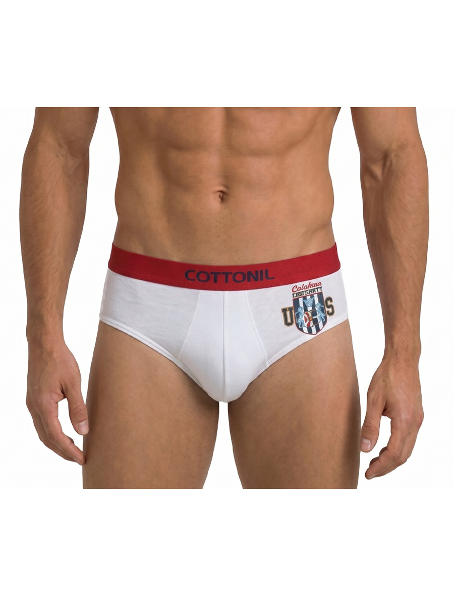 COTTONIL Men's Cotton Relax Briefs - Light Colors
